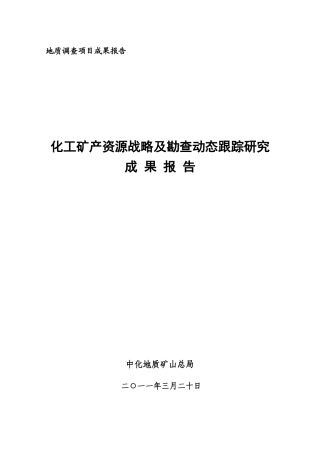 化工矿产资源战略及勘查动态跟踪研究成果报告