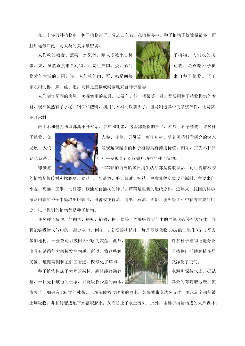 七年级生物下册 第9章 地面上的生物：9-3地面上丰富的生物资源教案 苏科版_第2页