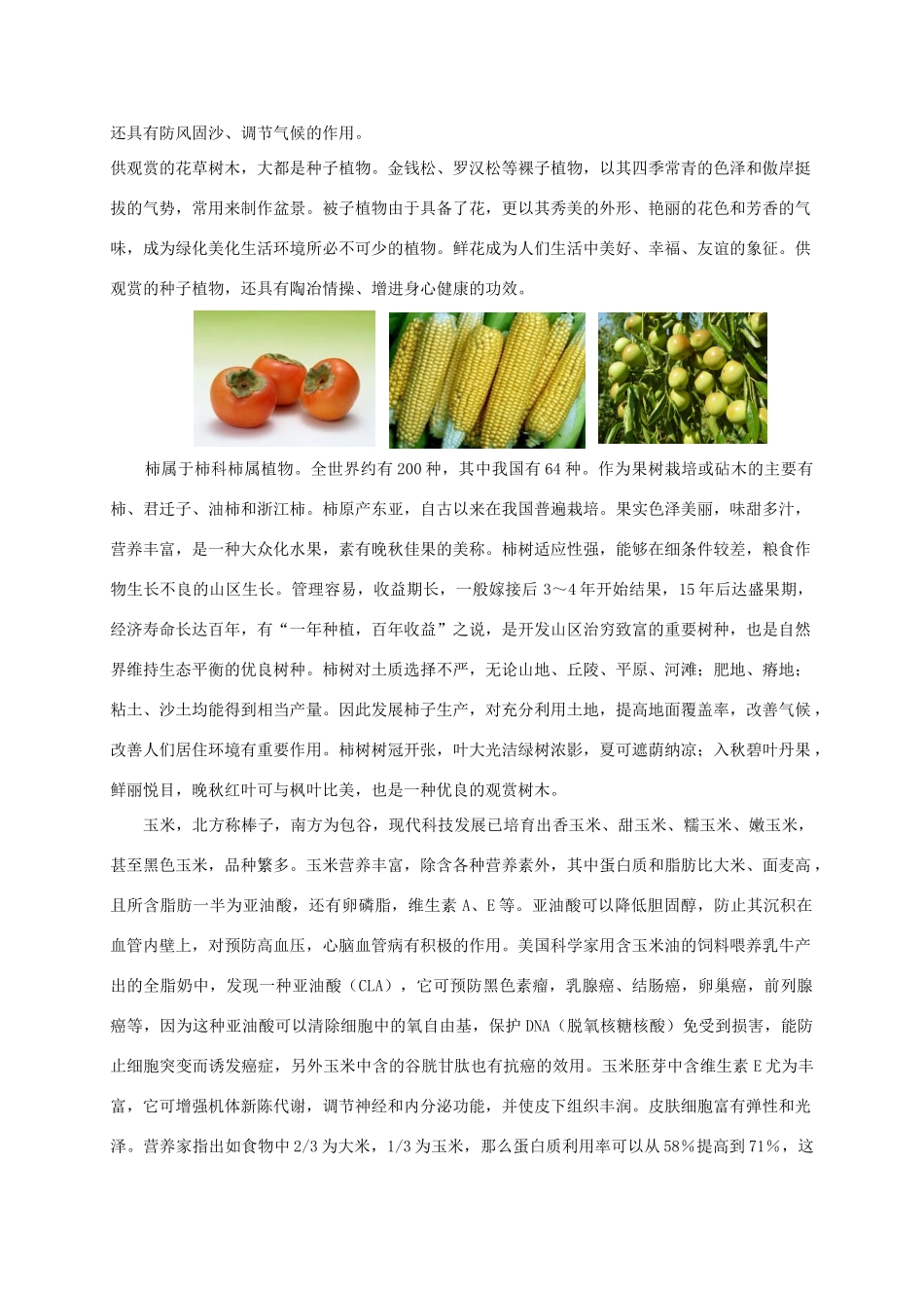 七年级生物下册 第9章 地面上的生物：9-3地面上丰富的生物资源教案 苏科版_第3页