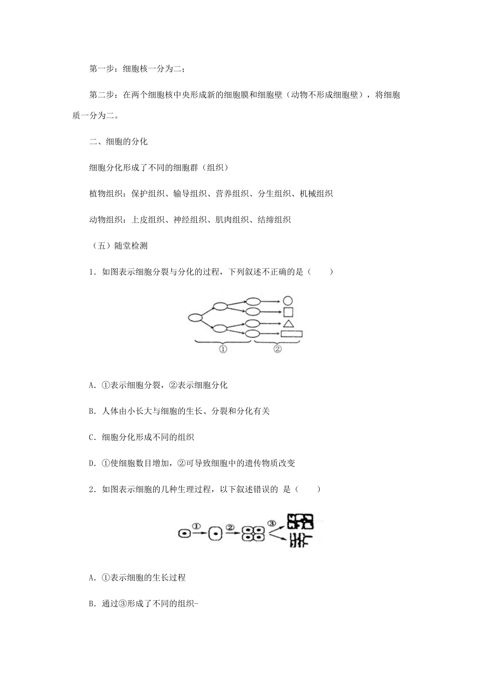 七年级生物上册 1.2.2细胞的分裂和分化教案 （新版）济南版-（新版）济南版初中七年级上册生物教案_第3页