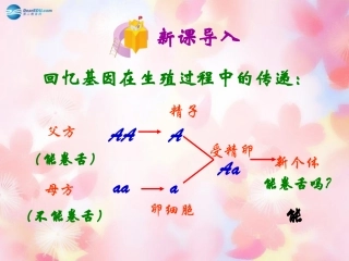 山东省泰安市新泰八年级生物下册 第二章 第三节 基因的显性和隐性课件 新人教版