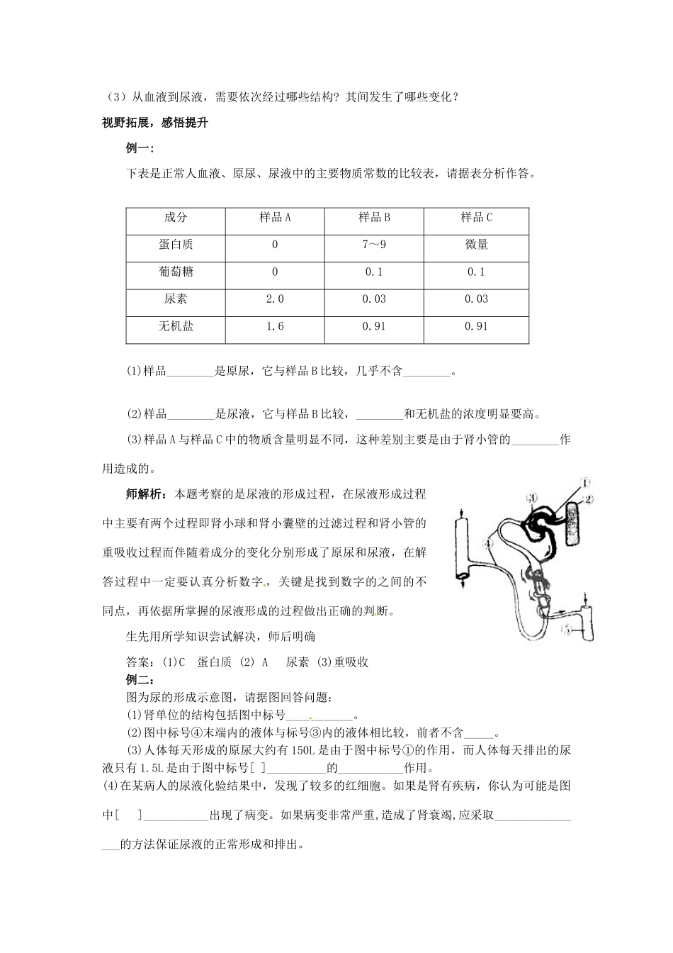 山东省肥城市王庄镇初级中学七年级生物下册 4.5 人体内废物的排出教案 新人教版_第3页