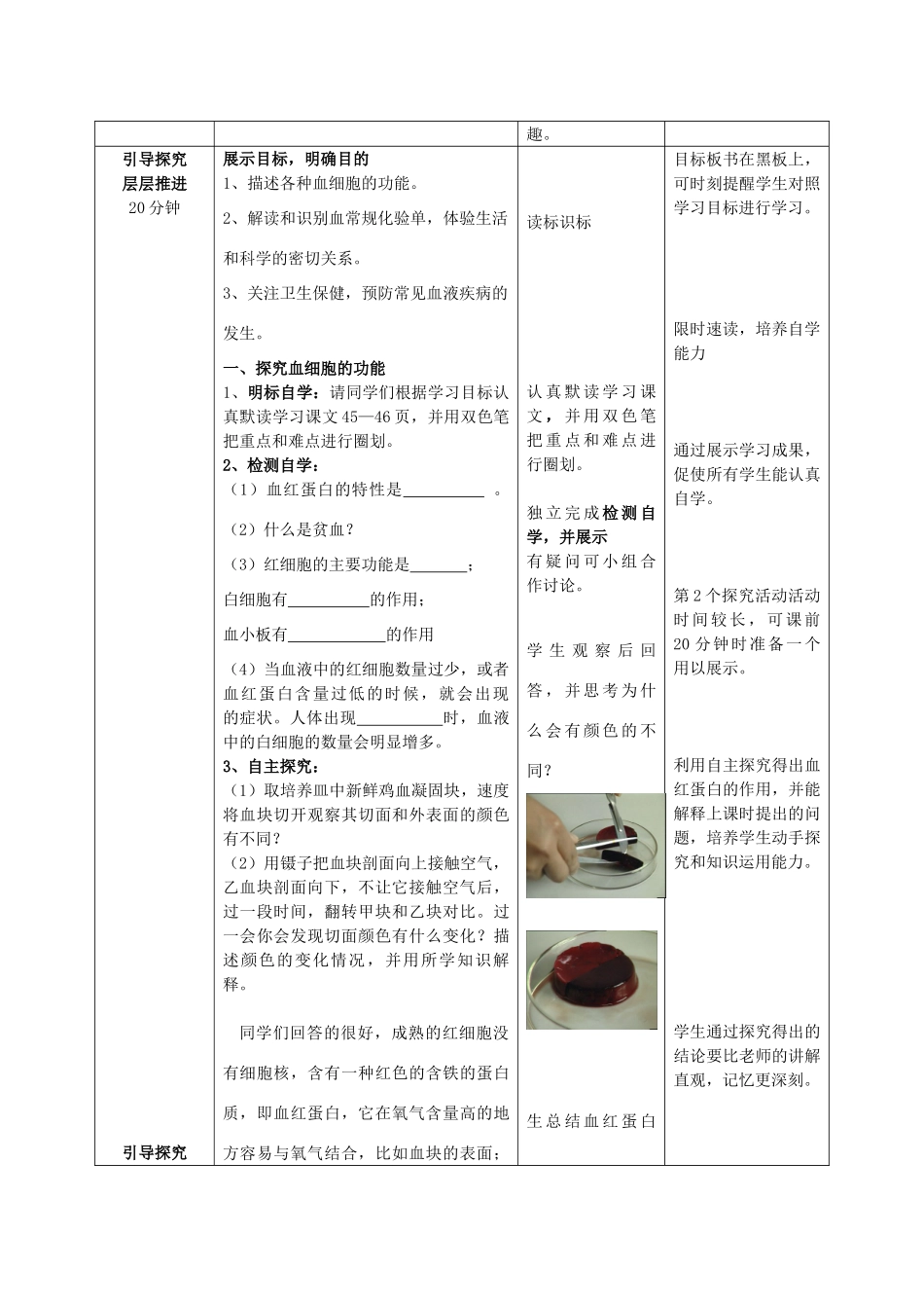 七年级生物下册 第三单元 第三章 第一节 物质运输的载体教案2 济南版-济南版初中七年级下册生物教案_第2页