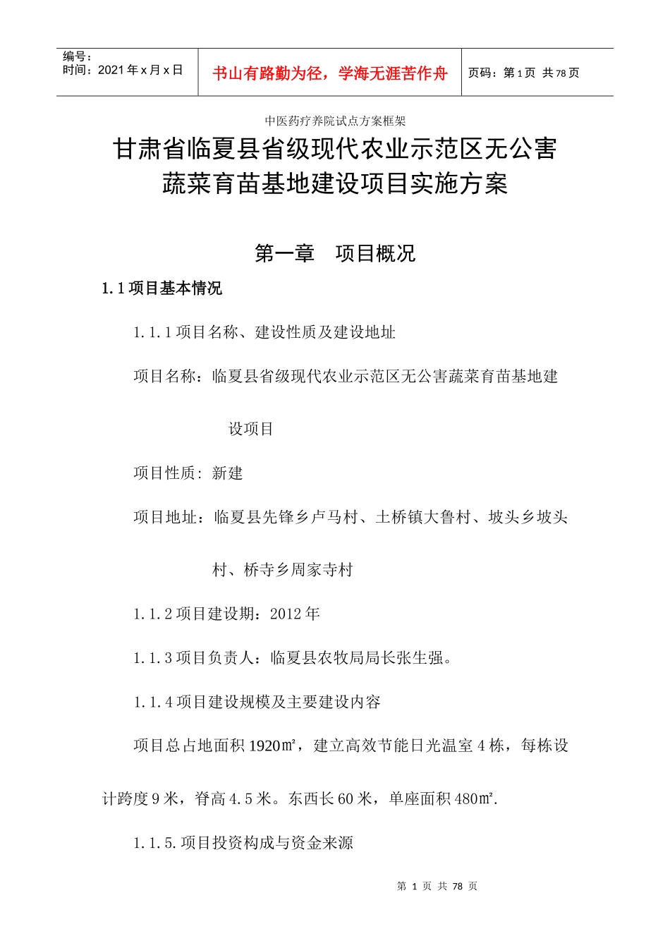 中医药疗养院试点方案范本及框架_第1页