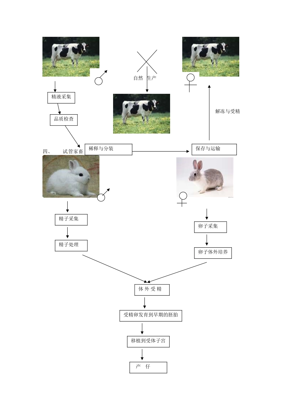 高中生物 2.1《农业生产中的繁殖控制技术》教案 新人教版选修2_第3页