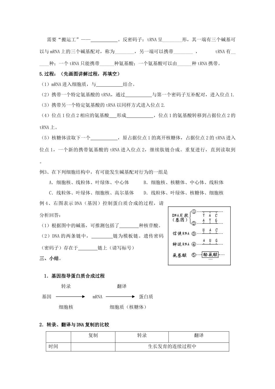 高中生物：4.1《基因指导蛋白质的合成》教案（2）（新人教版必修2）_第3页