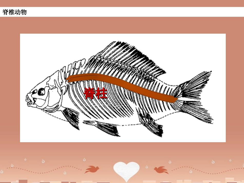 山东省龙口市诸由观镇诸由中学八年级生物上册 1.4 鱼类课件 （新版）新人教版_第2页