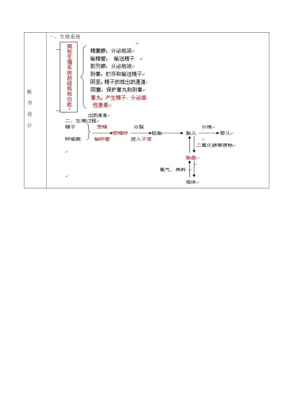 山东省临沭县第三初级中学七年级生物下册《1.2人的生殖》教案 新人教版_第2页