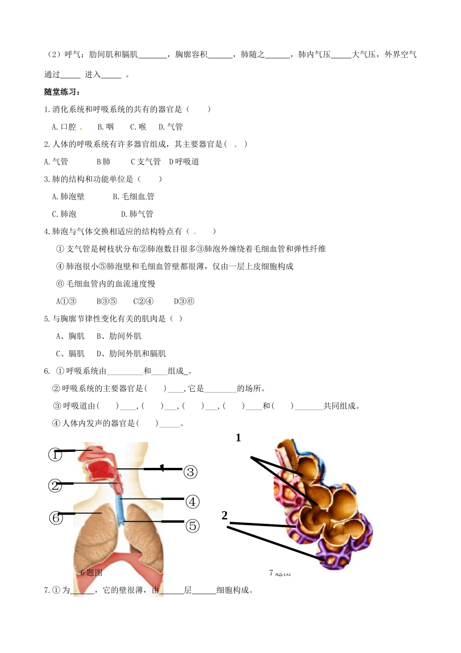 七年级生物下册 2.1《人体与外界的气体交换》教案1 济南版_第2页