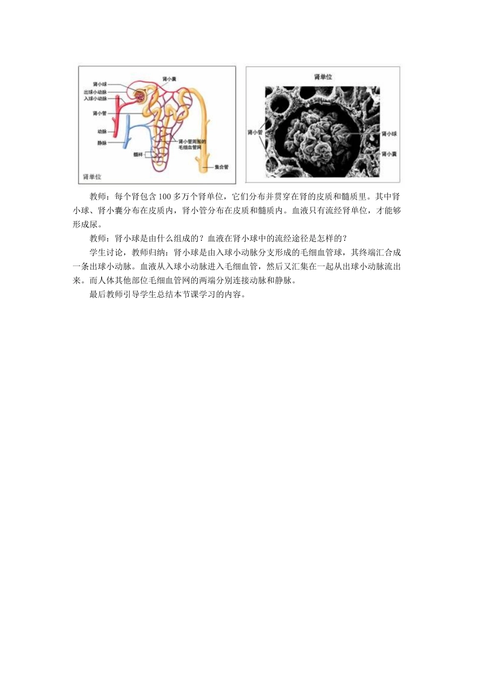 七年级生物下册 第十一章 第一节 人体泌尿系统的组成教案1 （新版）苏教版_第3页