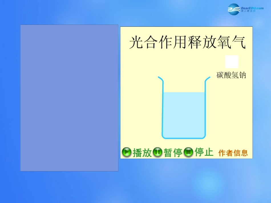 七年级生物上册 第5章 第1节 光合作用课件3 北师大版_第3页
