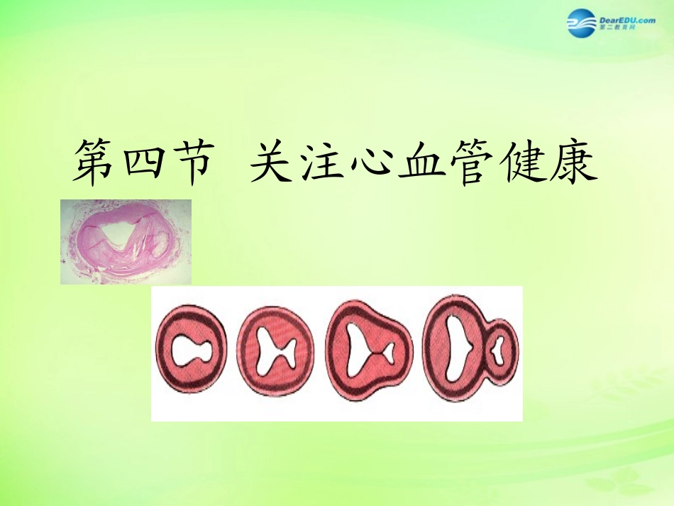 七年级生物下册 3.3.4 关注心血管健康课件 （新版）济南版_第1页