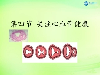 七年级生物下册 3.3.4 关注心血管健康课件 （新版）济南版