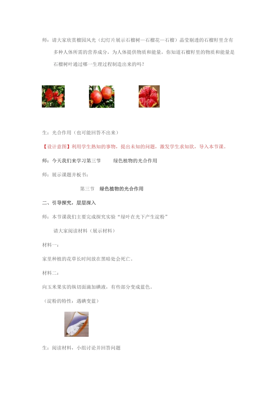 七年级生物上册 第二单元 第一章 第三节 绿色植物的光合作用教学设计 济南版-济南版初中七年级上册生物教案_第2页