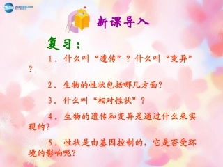 山东省泰安市新泰八年级生物下册 第二章 第二节 基因在亲子代间的传递课件 新人教版