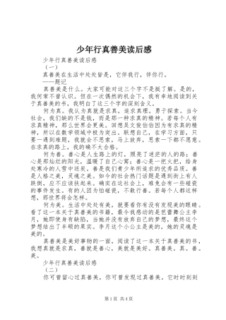 少年行真善美读后感 