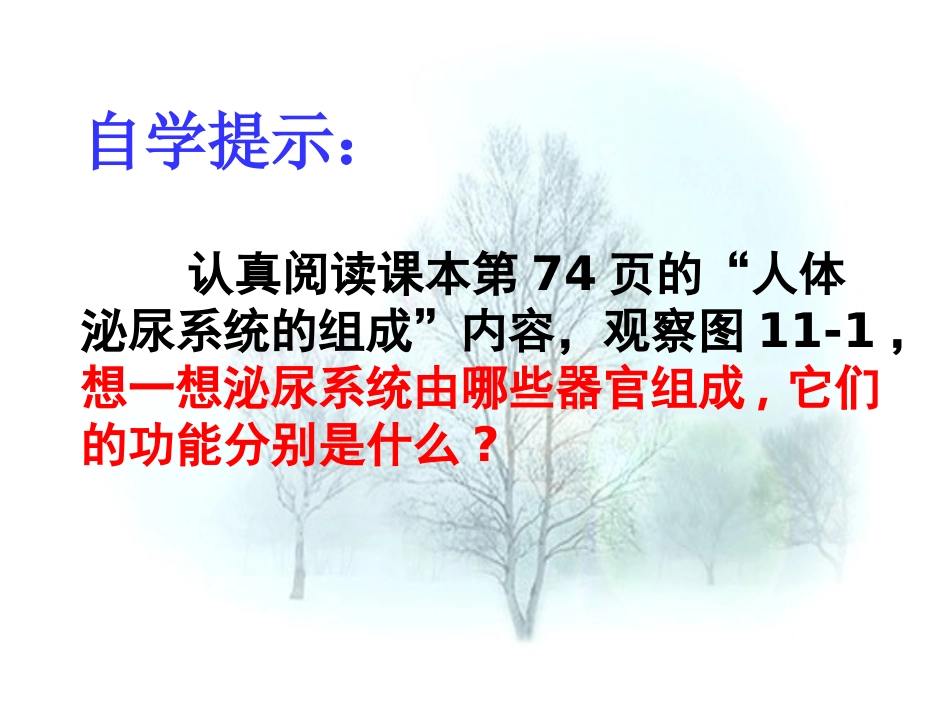 七年级生物下册 第十一章 第一节 人体泌尿系统的组成课件1 （新版）苏教版_第3页
