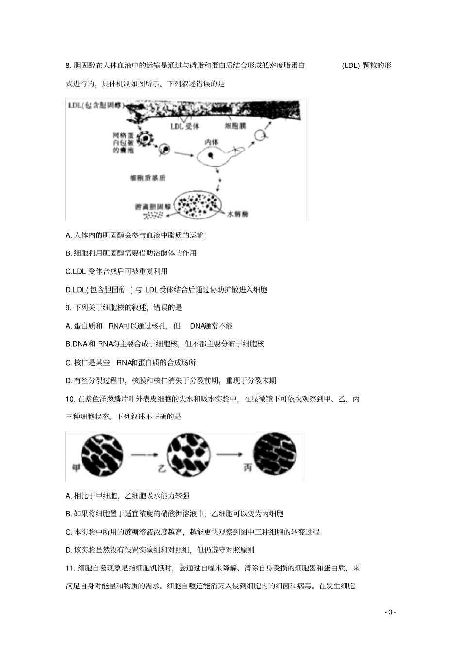 山东省2020届高三生物10月联考试题_第3页