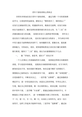 如何成为一名合格的青年干部讲课教案