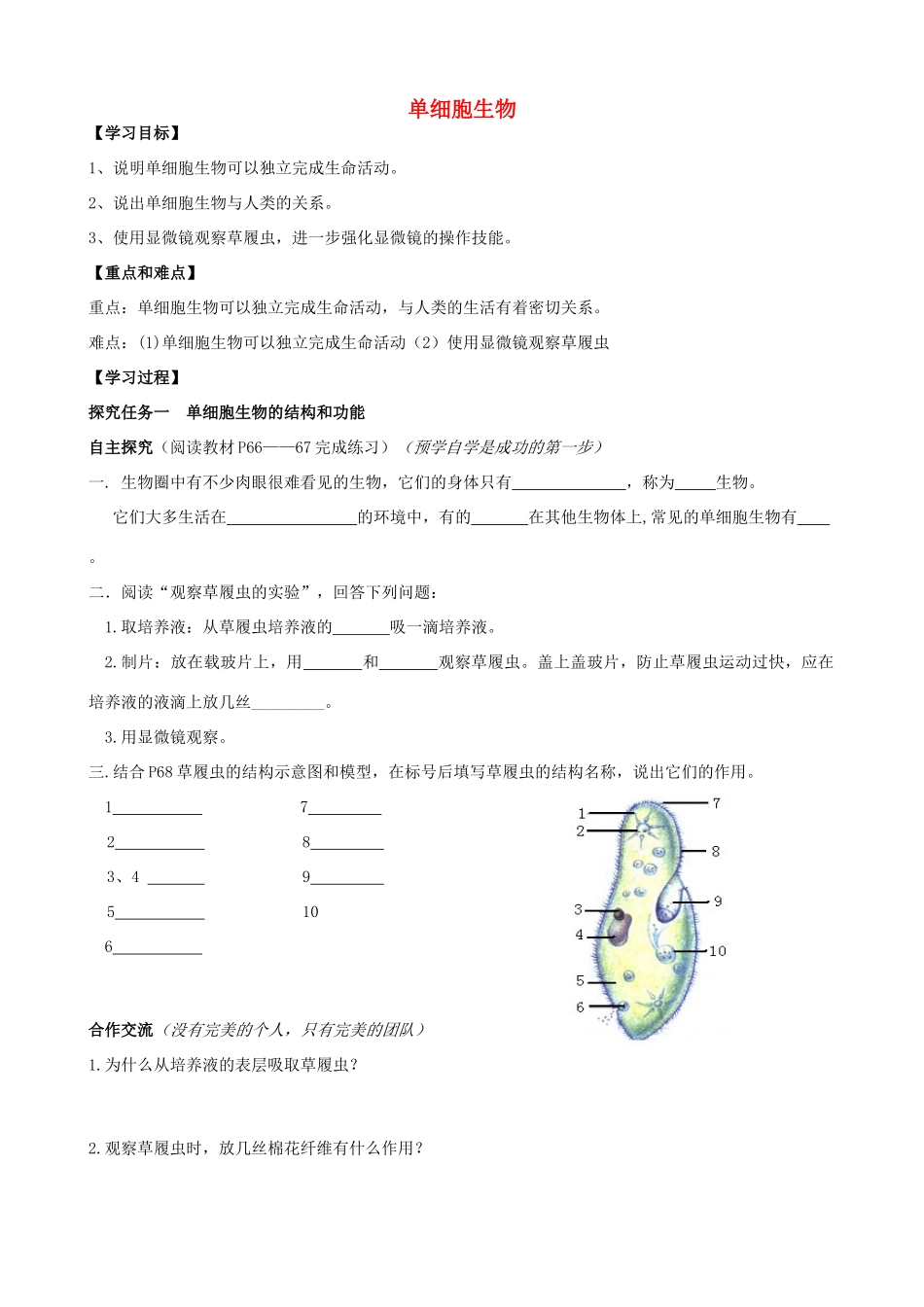 七年级生物上册 2.2.4 单细胞生物学案（无答案）（新版）新人教版_第1页