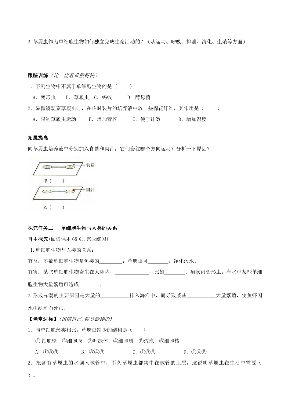 七年级生物上册 2.2.4 单细胞生物学案（无答案）（新版）新人教版_第2页
