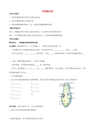七年级生物上册 2.2.4 单细胞生物学案（无答案）（新版）新人教版
