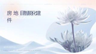 房地产项目智能化建议课件