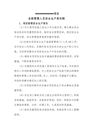 双重预防体系各级责任制(项目级)