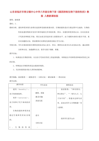 山东省临沂市青云镇中心中学八年级生物下册《基因控制生物下册的性状》教案 人教新课标版