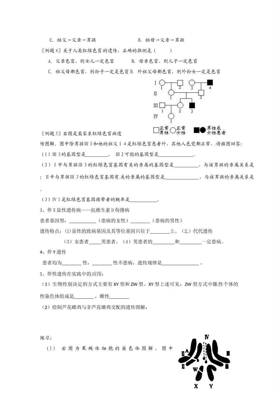 高中生物：23《伴性遗传》教案（2）（新人教版必修2）_第3页