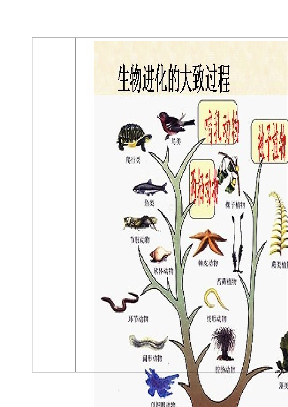 山东省济南市平阴县孝直中学八年级生物下册 第一章 第三节 生物进化的历程教案 新人教版_第3页