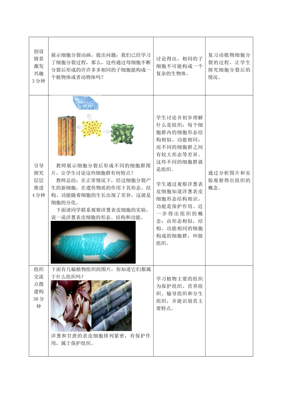 七年级生物上册 1.2.2 细胞的分裂和分化优秀教案 （新版）济南版-（新版）济南版初中七年级上册生物教案_第2页