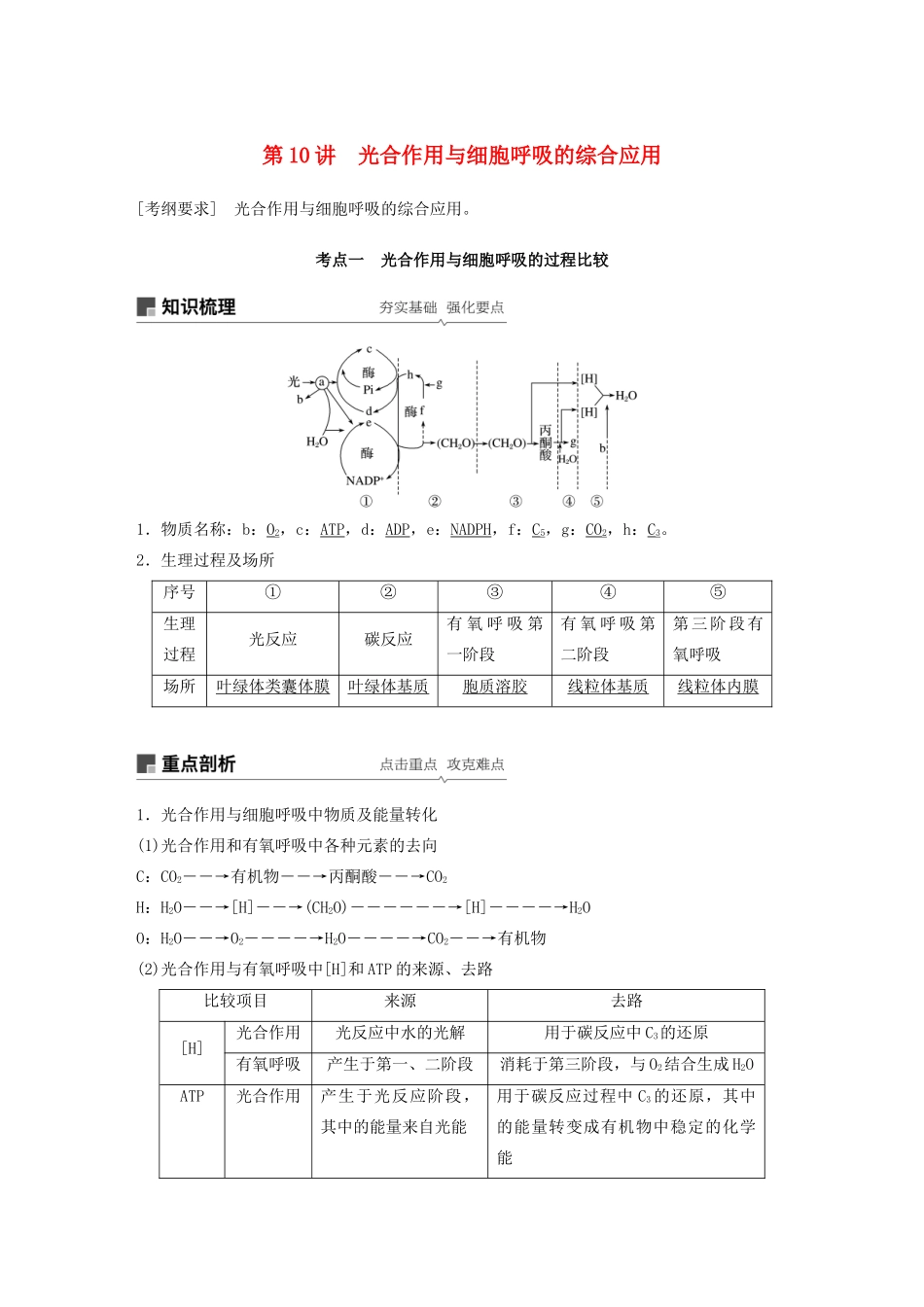 高考生物新导学大一轮复习 第三单元 细胞的能量代谢 第10讲 光合作用与细胞呼吸的综合应用讲义（含解析）北师大版-北师大版高三全册生物教案_第1页