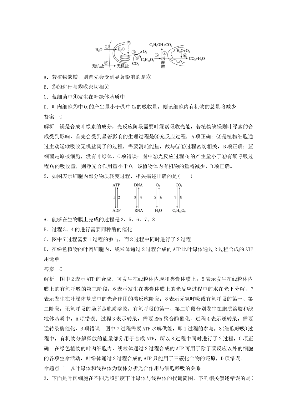 高考生物新导学大一轮复习 第三单元 细胞的能量代谢 第10讲 光合作用与细胞呼吸的综合应用讲义（含解析）北师大版-北师大版高三全册生物教案_第3页