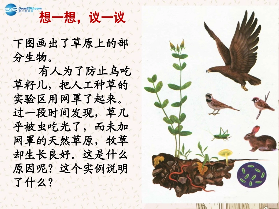 七年级生物上册 1.2.2 生物与环境组成生态系统课件 （新版）新人教版_第3页