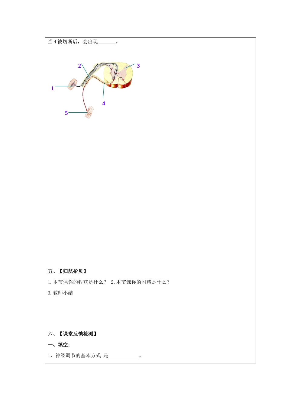 山东省泰安新泰市七年级生物下册 6.3 神经调节的基本方式学案（无答案） 新人教版_第3页