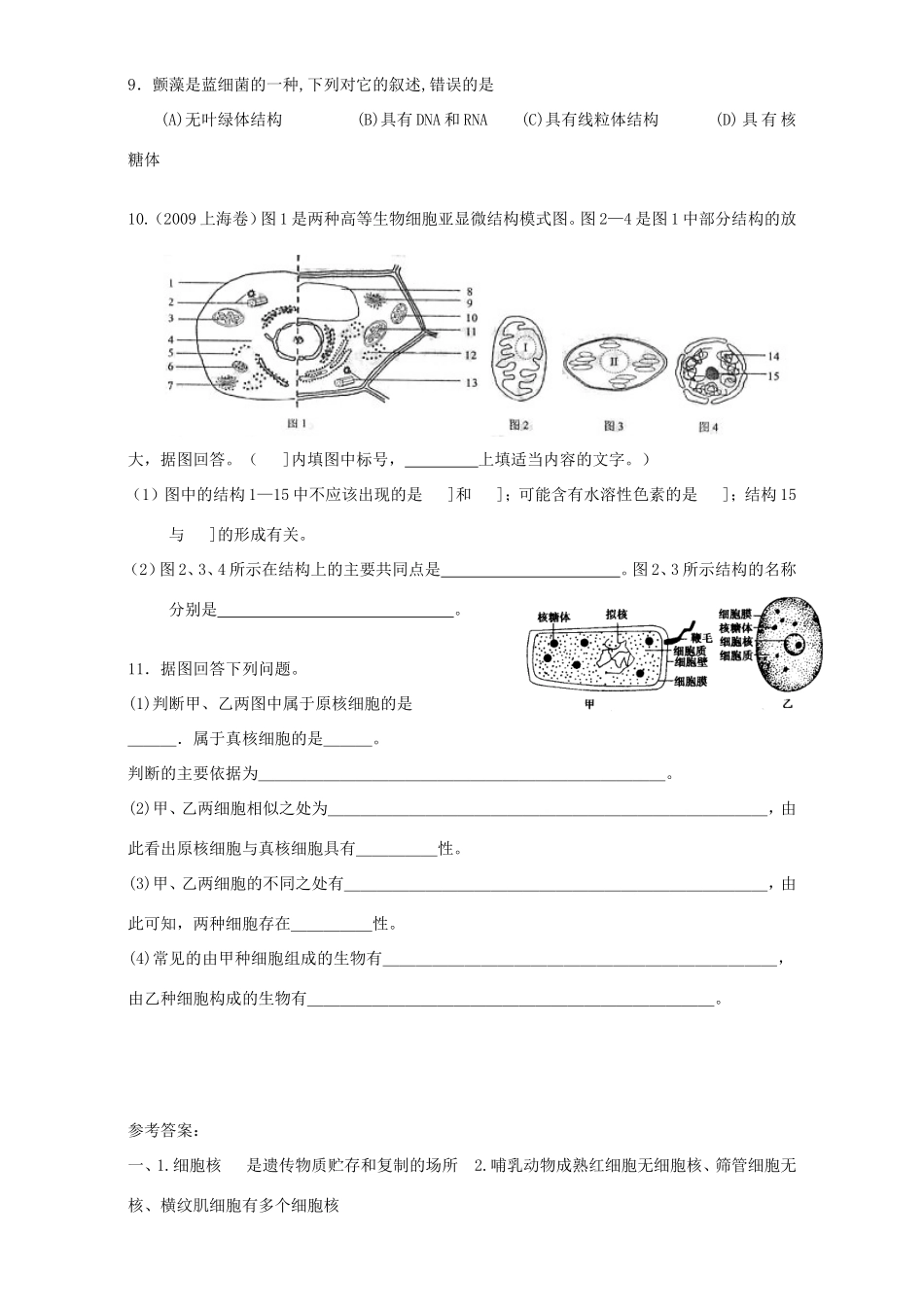 高中生物 原核细胞2教案 浙科版必修1-浙科版高中必修1生物教案_第3页