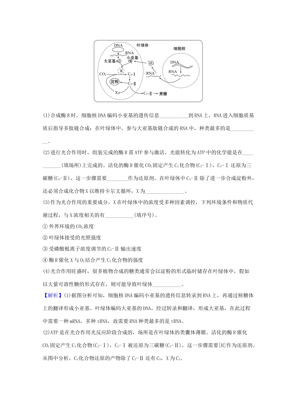 版高考生物一轮复习 第5章 细胞的能量供应和利用 4 能量之源——光与光合作用教案 新人教版必修1-新人教版高三必修1生物教案_第3页