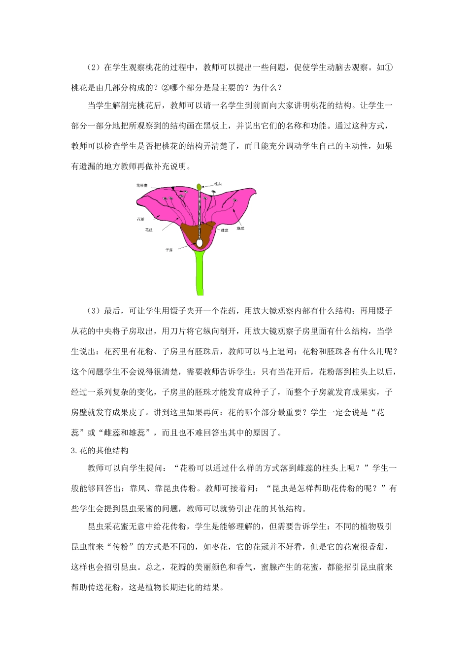 七年级生物上册 6.3 生殖器官的生长教案（1） 北师大版-北师大版初中七年级上册生物教案_第2页