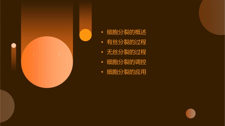 细胞分裂产生新细胞课件_第2页