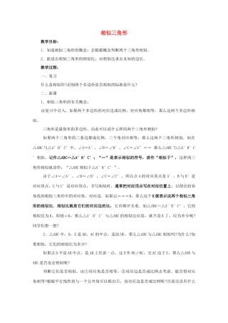 九年级数学上册《相似三角形》教案1 华东师大版