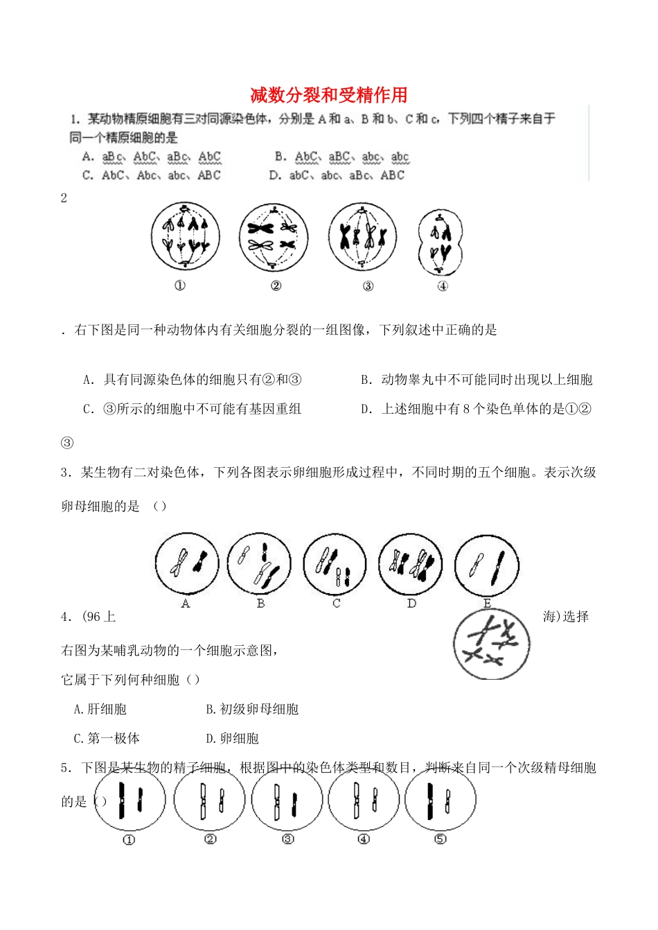 福建省厦门市集美区灌口中学高中生物 减数分裂和受精作用教案 新人教版必修2_第1页