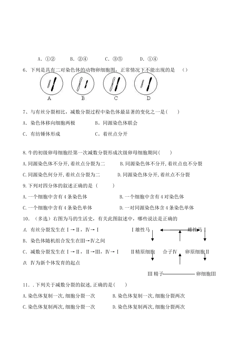 福建省厦门市集美区灌口中学高中生物 减数分裂和受精作用教案 新人教版必修2_第2页