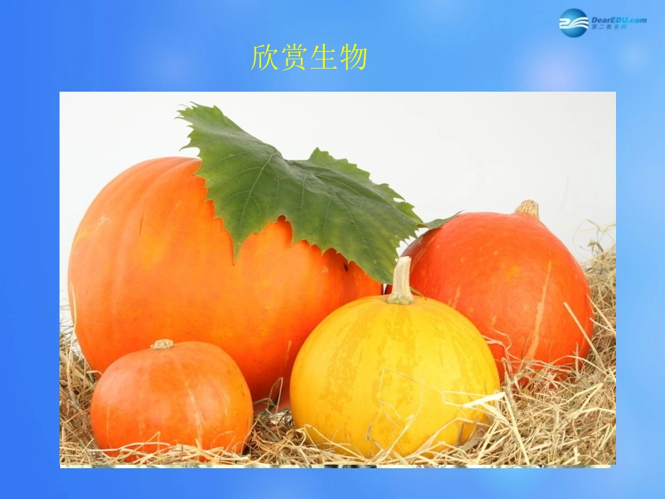 七年级生物上册 第4章 第1节 细胞分化形成组织课件1 北师大版_第2页