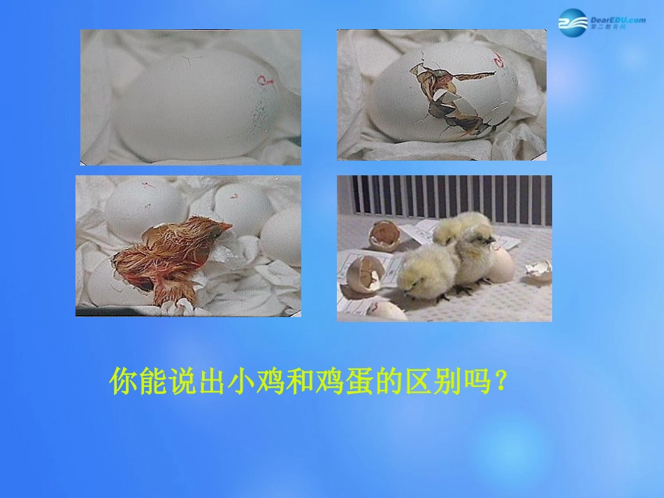 七年级生物上册 第4章 第1节 细胞分化形成组织课件1 北师大版_第3页