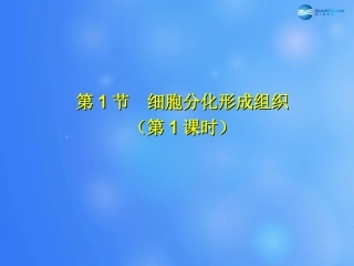 七年级生物上册 第4章 第1节 细胞分化形成组织课件1 北师大版