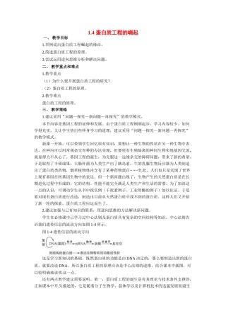 高中生物 1.4《蛋白质工程的崛起》教学设计 新人教版选修3