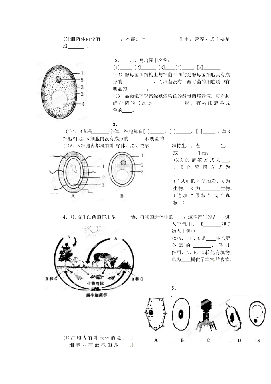 山东省枣庄市第四十二中学八年级生物上册《生物圈中的微生物》和《生物的分类》教案 新人教版_第2页