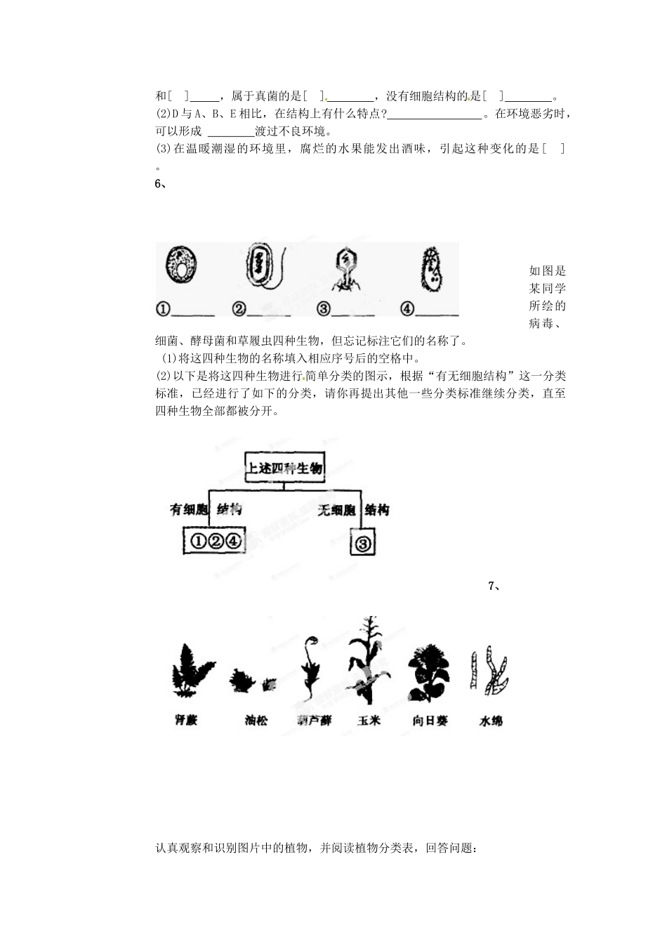 山东省枣庄市第四十二中学八年级生物上册《生物圈中的微生物》和《生物的分类》教案 新人教版_第3页