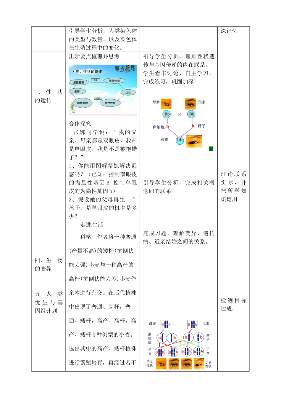 山东省滕州市大坞镇大坞中学八年级生物 第四章 生物的遗传和变异教案1 新人教版_第3页
